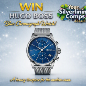 ⌚ WIN Hugo Boss Blue Chronograph Watch (1513441)
